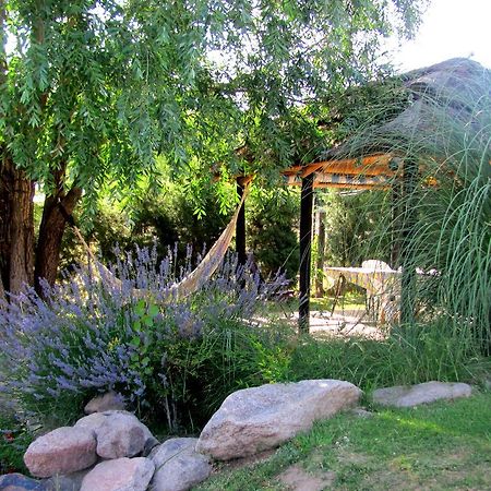 Cabanas Terrazas De Cacheuta Hotell Mendoza Eksteriør bilde